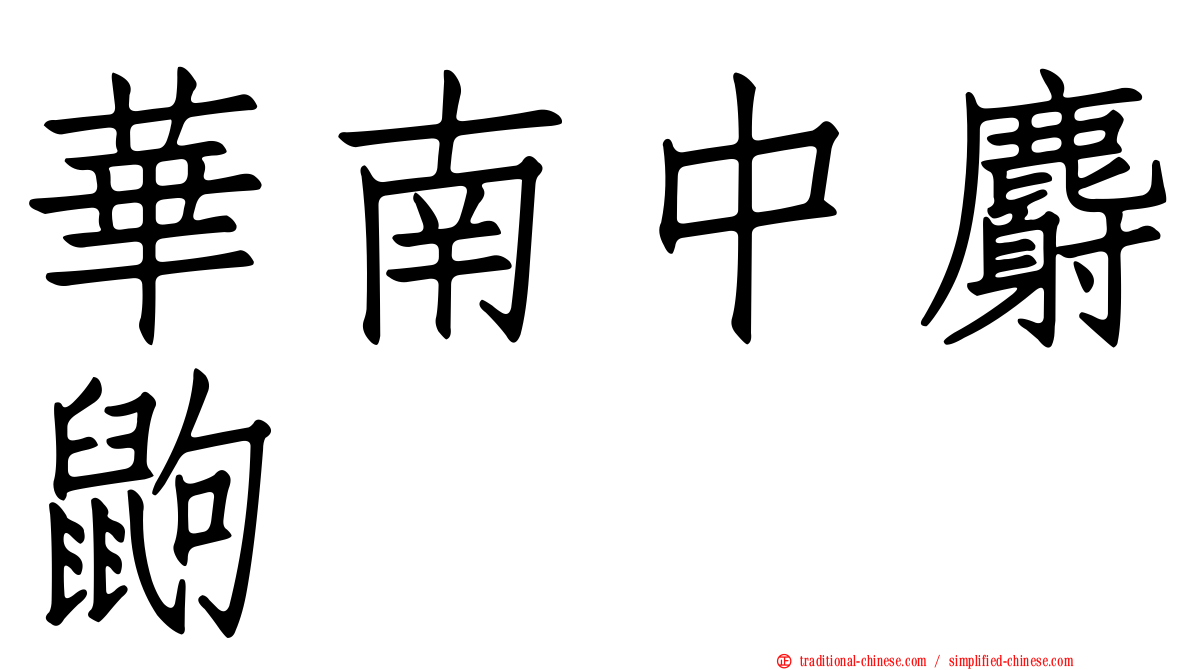 華南中麝鼩