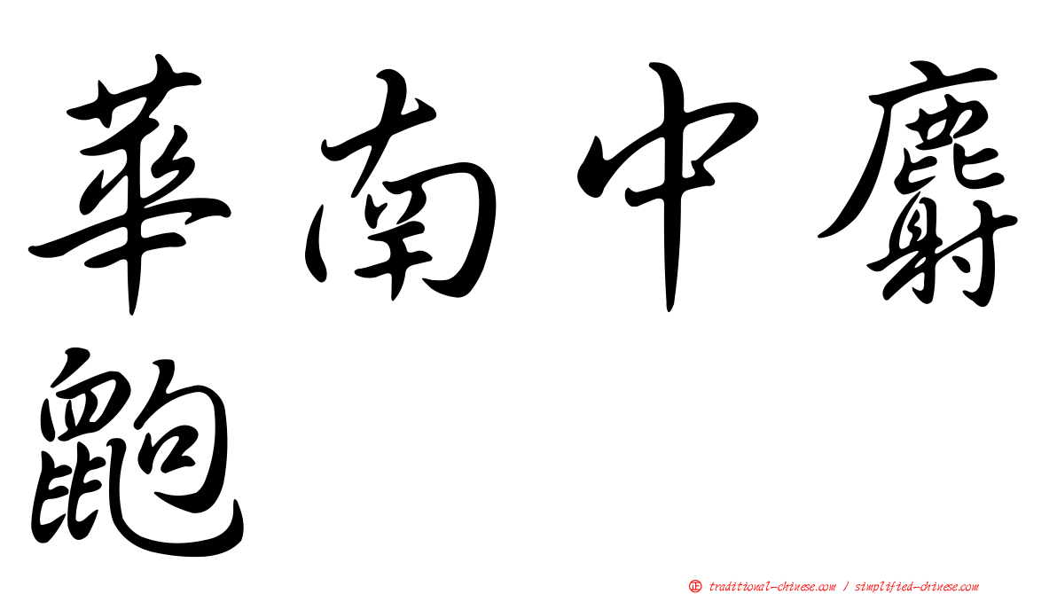 華南中麝鼩