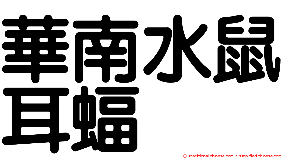 華南水鼠耳蝠