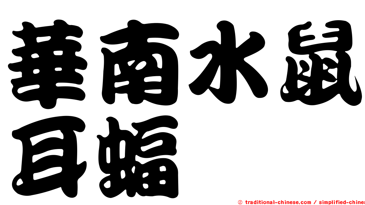 華南水鼠耳蝠