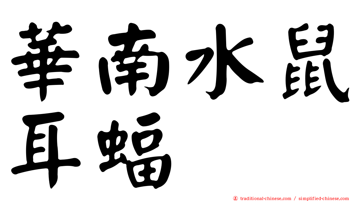華南水鼠耳蝠