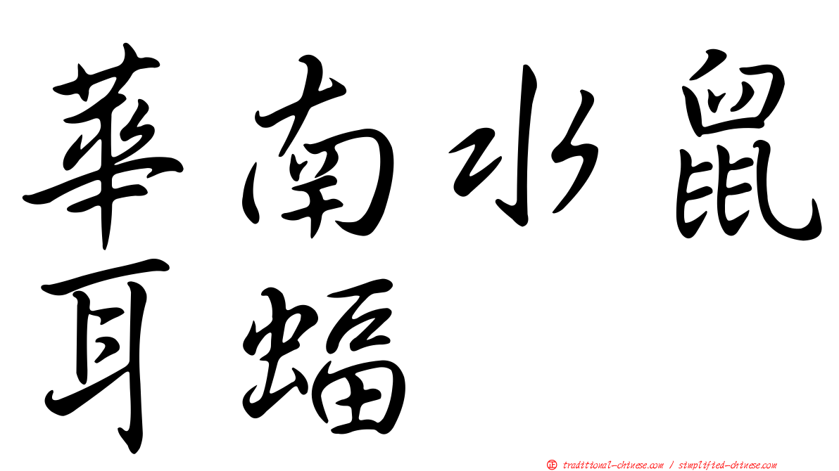 華南水鼠耳蝠