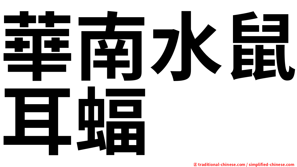 華南水鼠耳蝠