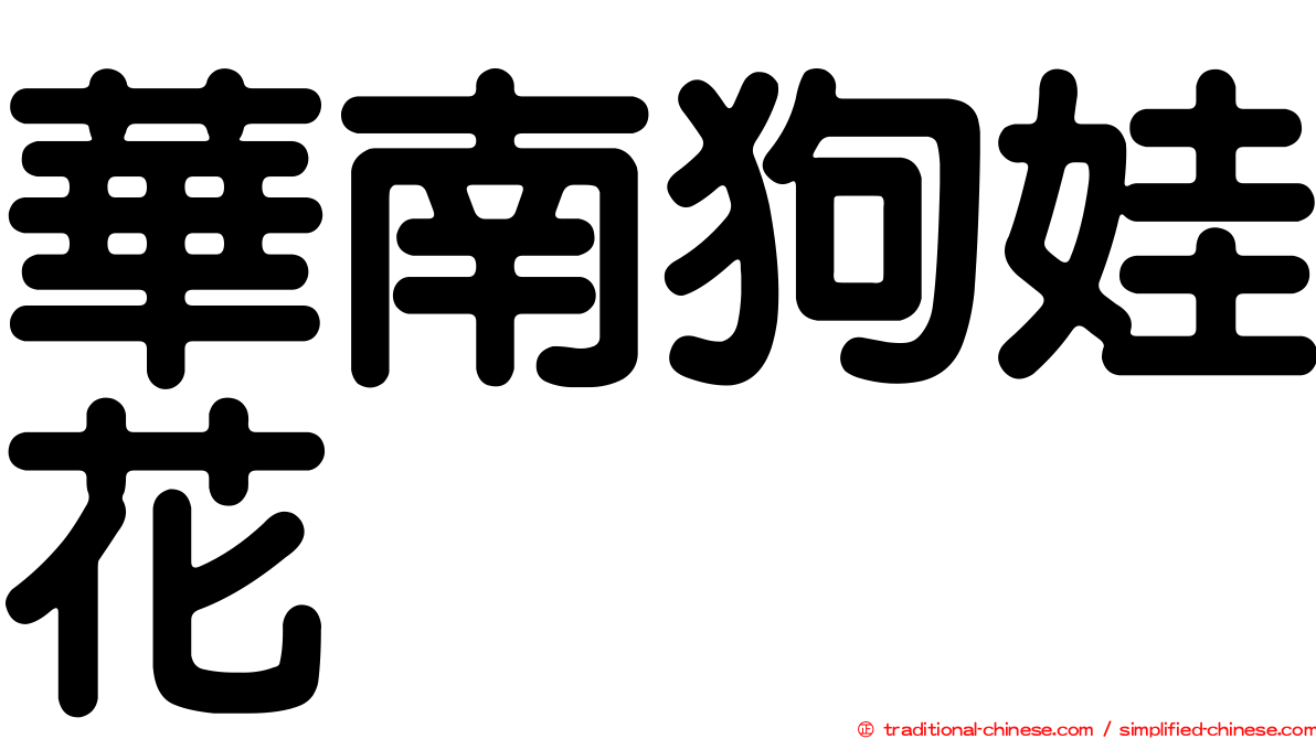 華南狗娃花