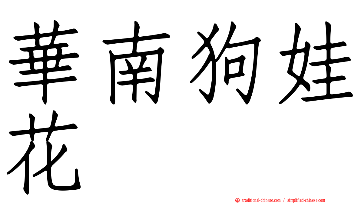華南狗娃花