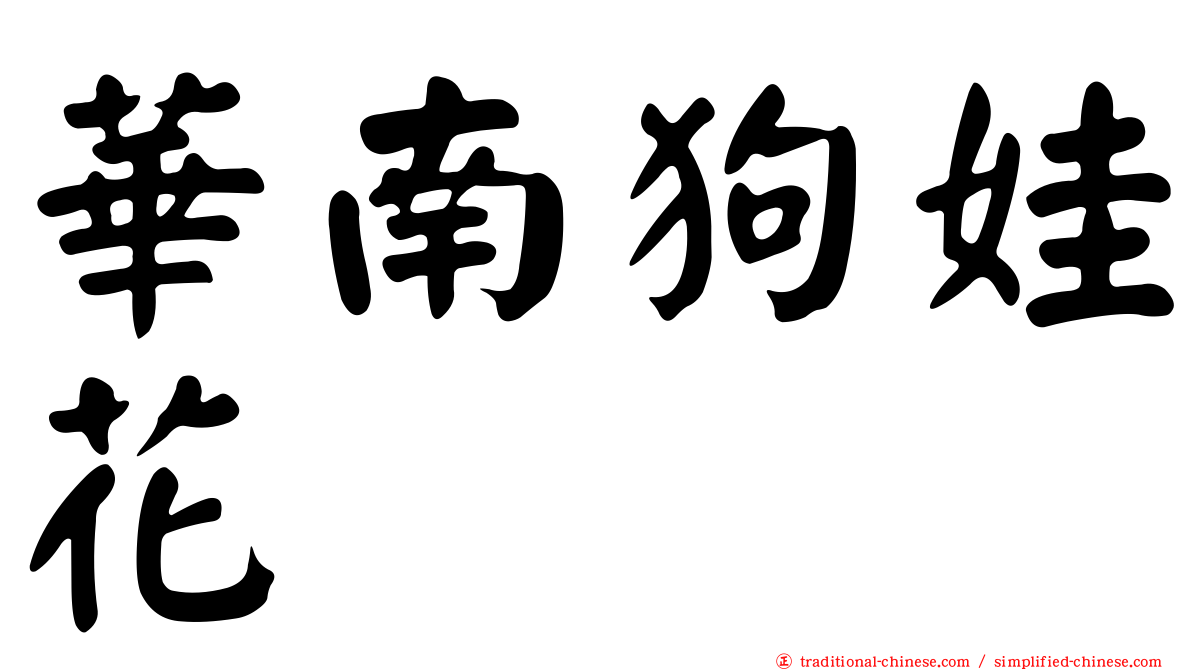 華南狗娃花