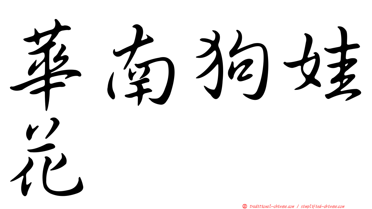 華南狗娃花