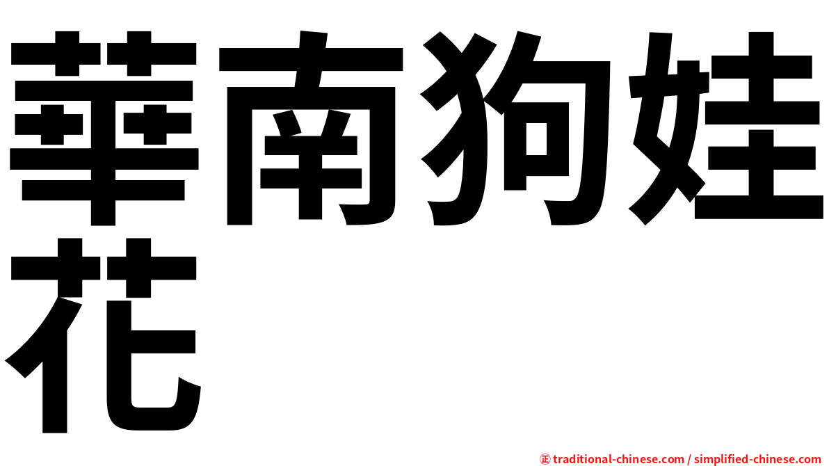 華南狗娃花