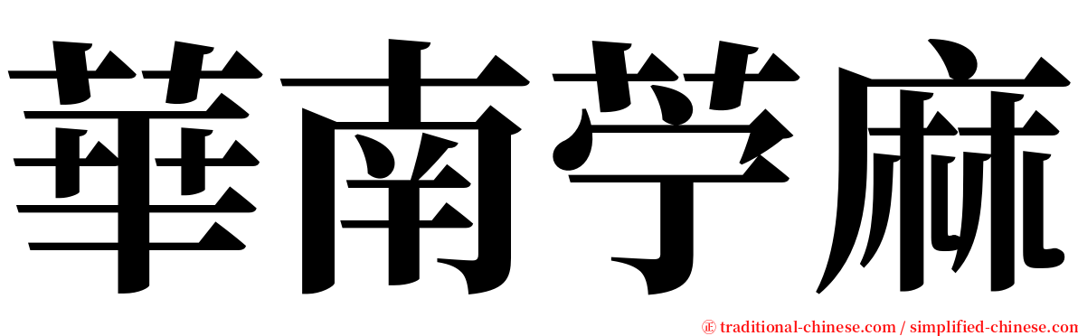 華南苧麻 serif font