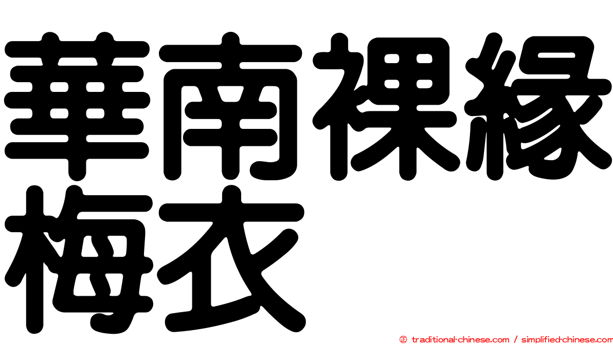 華南裸緣梅衣