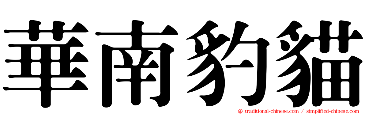 華南豹貓