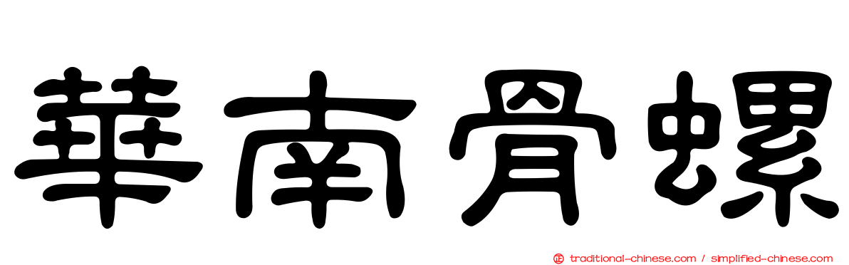 華南骨螺