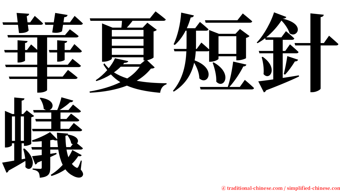 華夏短針蟻 serif font
