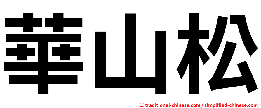 華山松