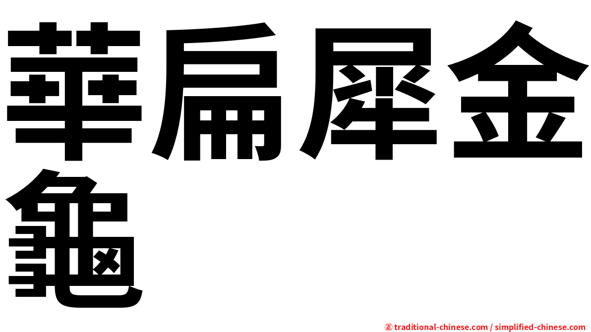 華扁犀金龜