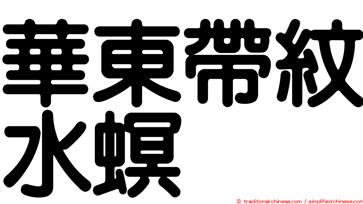 華東帶紋水螟