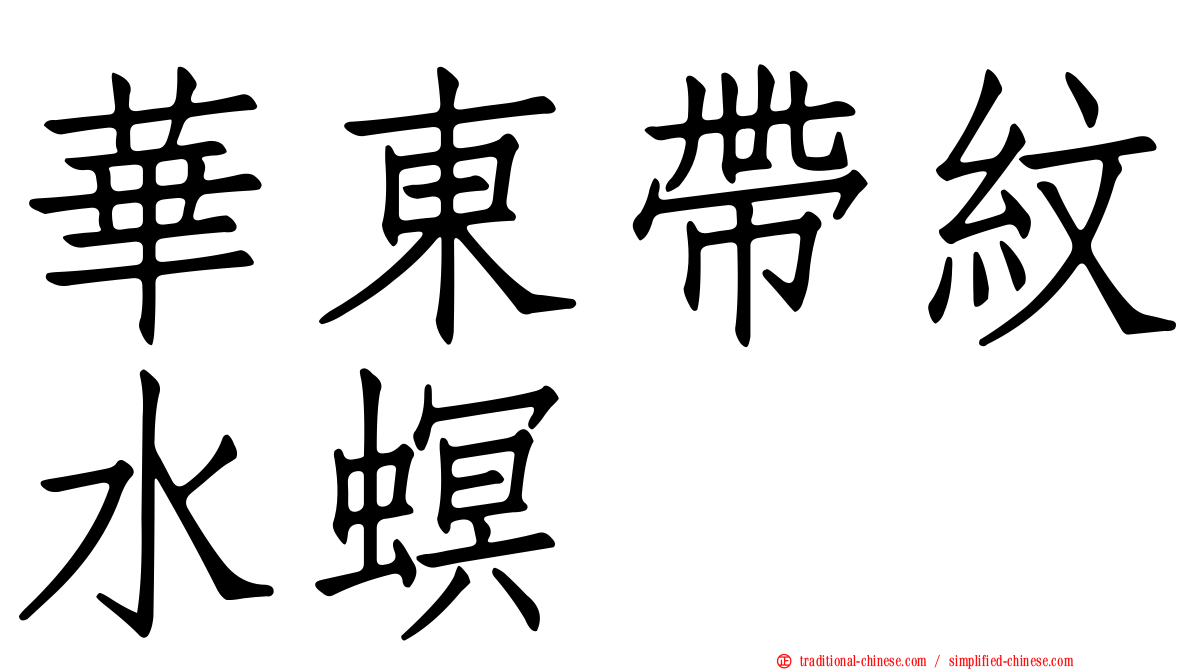華東帶紋水螟