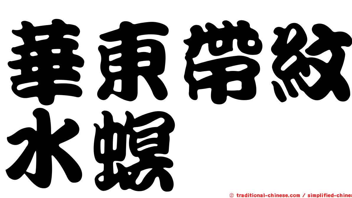 華東帶紋水螟