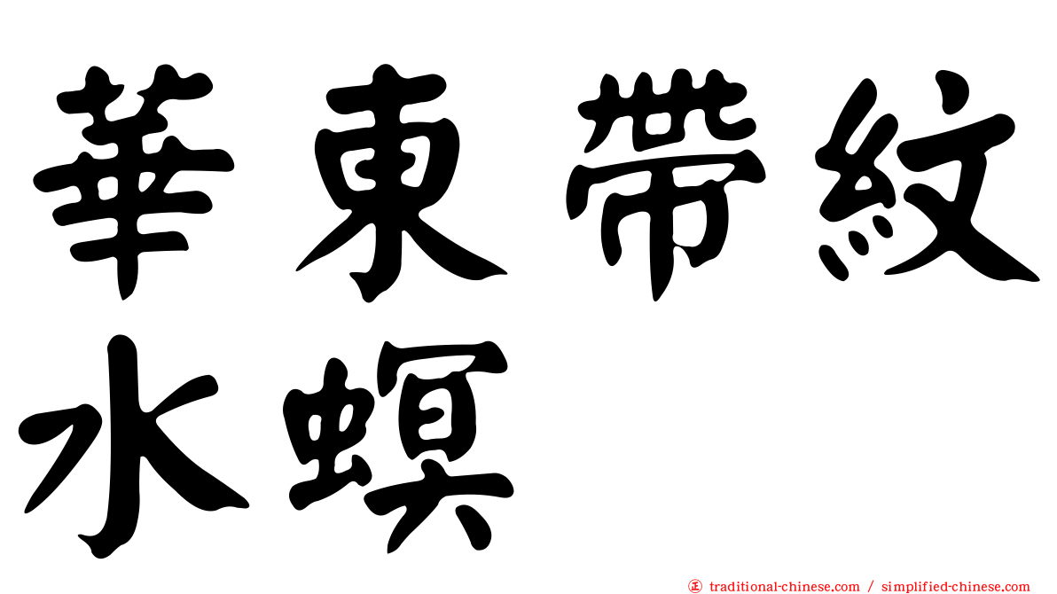 華東帶紋水螟