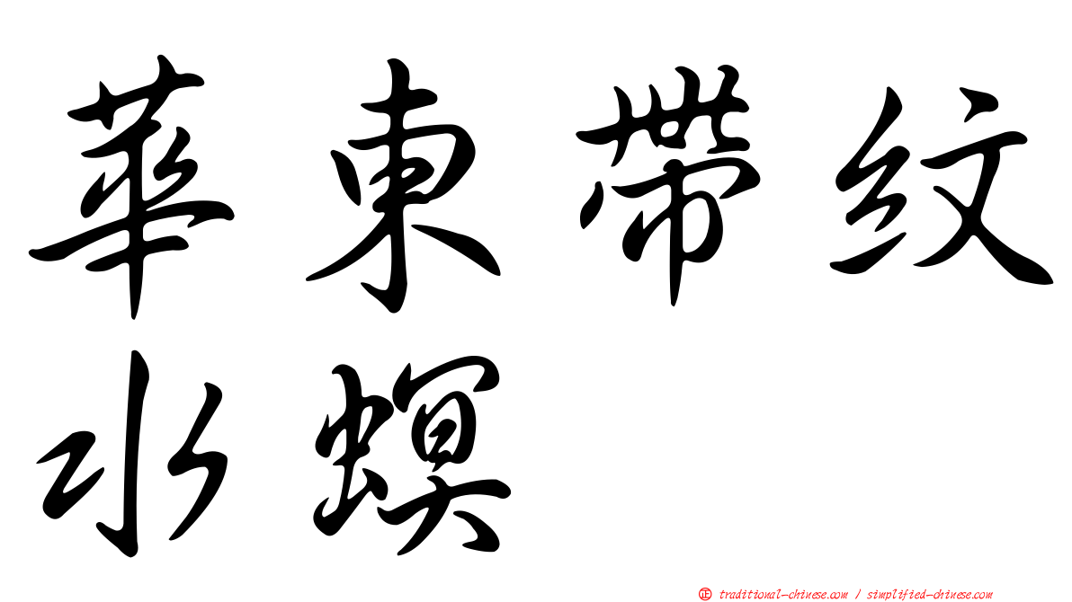 華東帶紋水螟