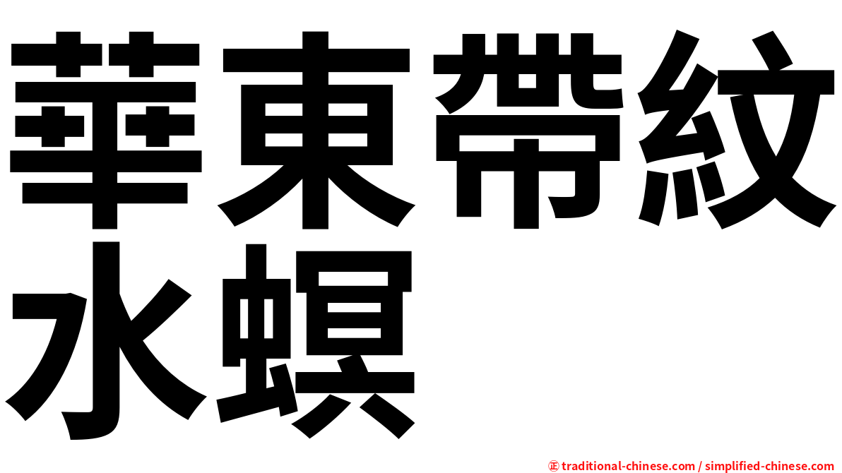 華東帶紋水螟