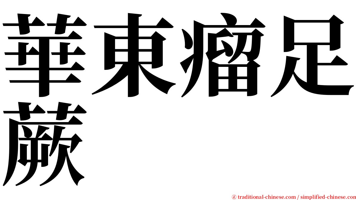 華東瘤足蕨 serif font