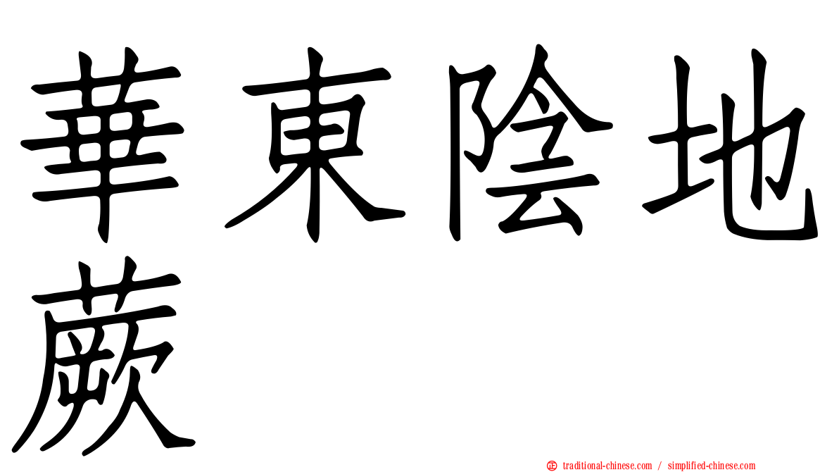 華東陰地蕨