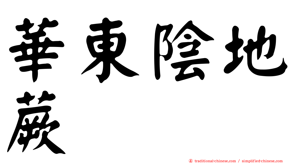 華東陰地蕨