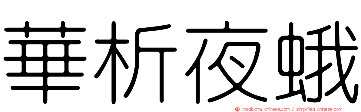 華析夜蛾