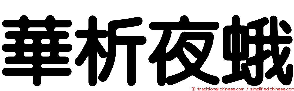 華析夜蛾