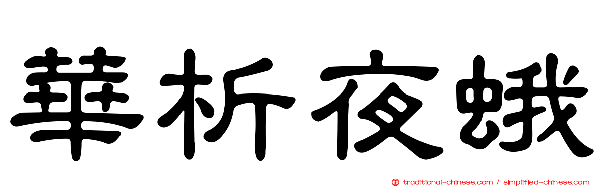 華析夜蛾