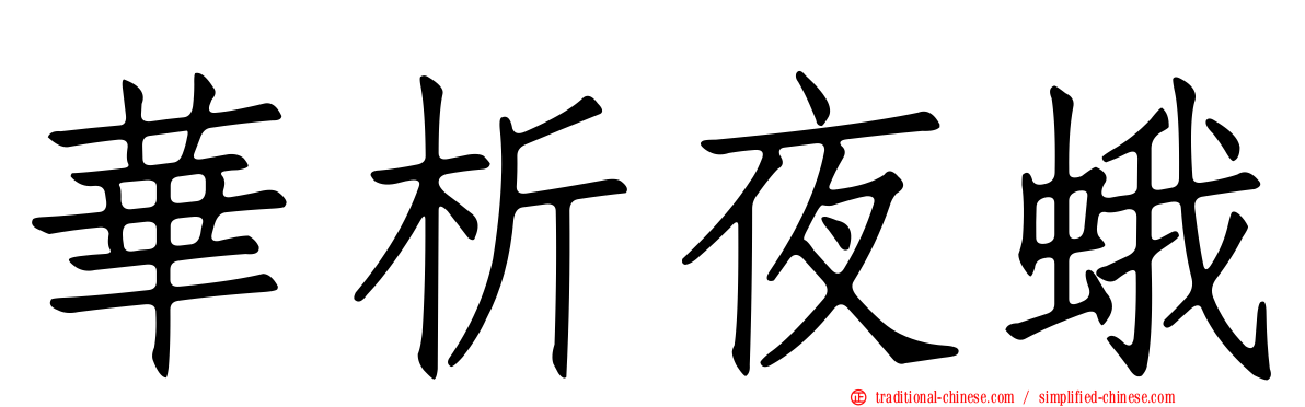 華析夜蛾