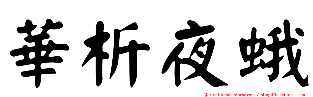 華析夜蛾