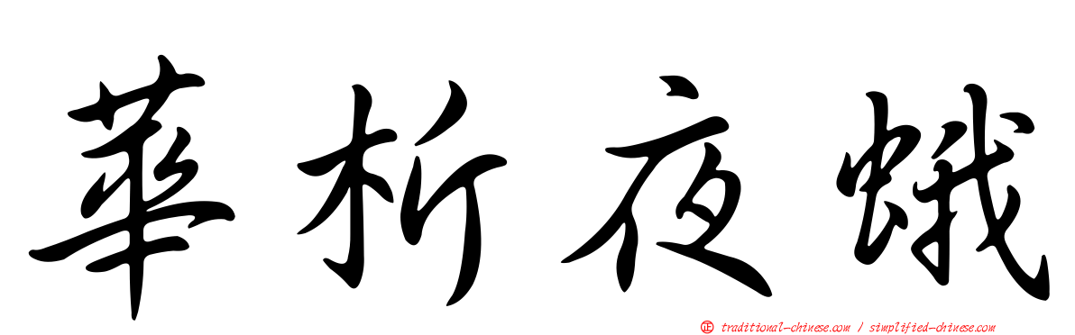 華析夜蛾