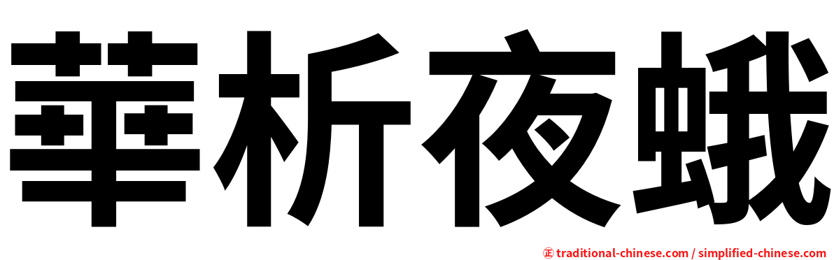 華析夜蛾