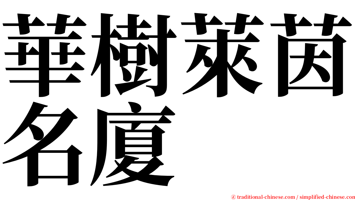 華樹萊茵名廈 serif font
