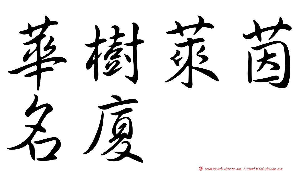 華樹萊茵名廈