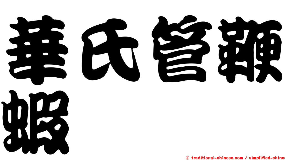 華氏管鞭蝦