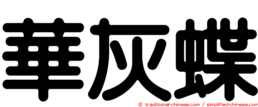 華灰蝶