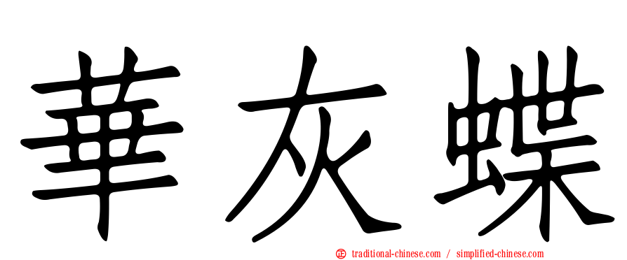 華灰蝶
