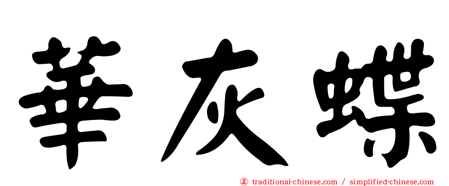 華灰蝶