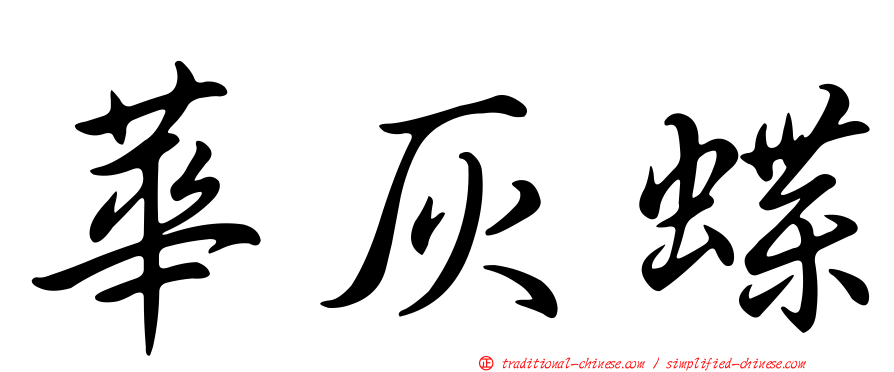 華灰蝶