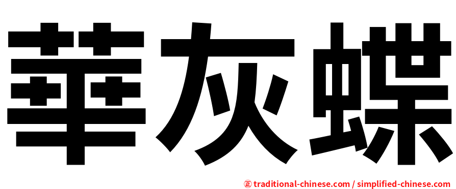 華灰蝶