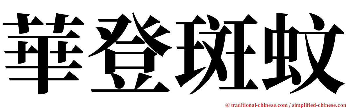 華登斑蚊 serif font