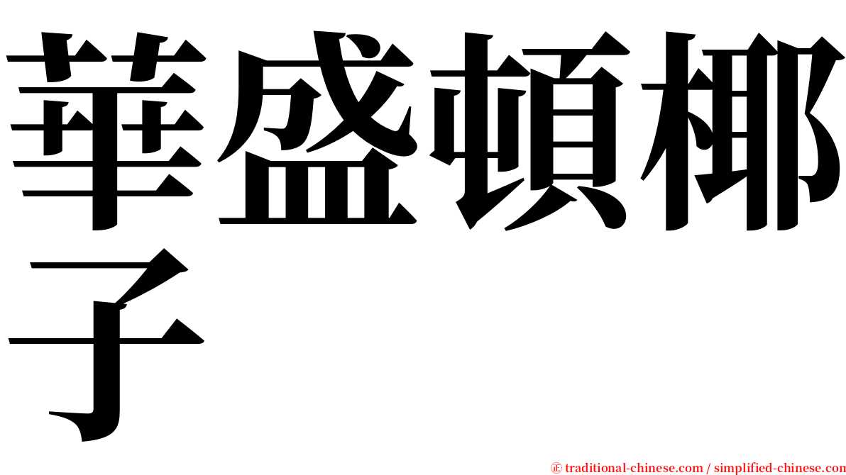 華盛頓椰子 serif font