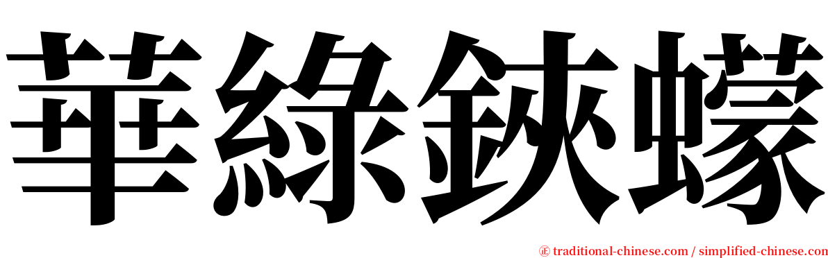 華綠鋏蠓 serif font
