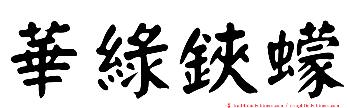 華綠鋏蠓
