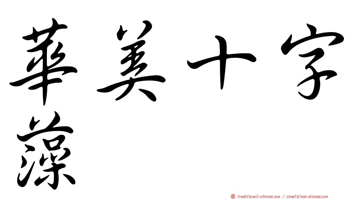 華美十字藻