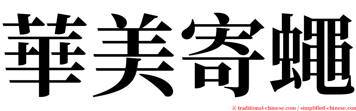 華美寄蠅 serif font