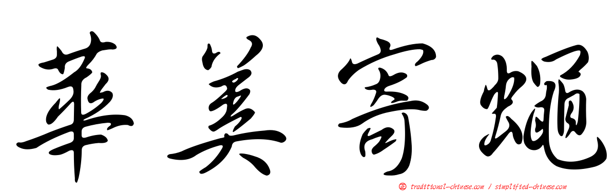 華美寄蠅